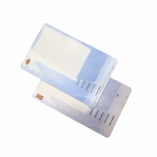 Lettore di carte d'identità e carte Mf di prossimità IP65, con identificazione a doppia frequenza.  Intervallo di lettura: 3 cm ~ 10 cm