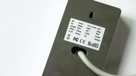 Controllo accessi autonomo con lettore RFID Wiegand 26 per impronte digitali a 125 kHz