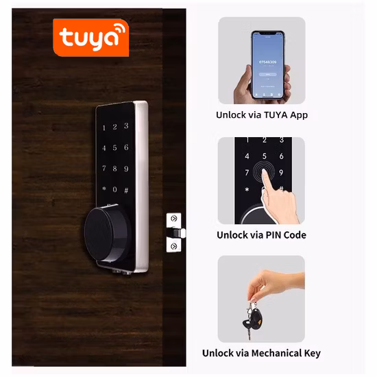 Tuya Tt APP Porta d'ingresso Smart Lock Protezione di sicurezza Serratura per porta Smart impermeabile in lega di alluminio